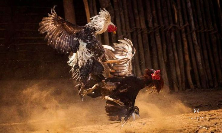 Trải Nghiệm Tuyệt Vời Với game bài E2BET.UNO - Đánh Bại Mọi Đối Thủ Dễ Dàng Trong Thế Giới Game Bài